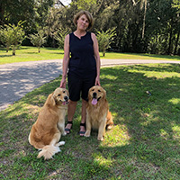 kestrel farm goldens