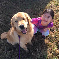 kestrel farm goldens, luna and Eva Mei