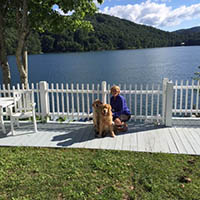 kestrel farm goldens, pam, luna, rhett